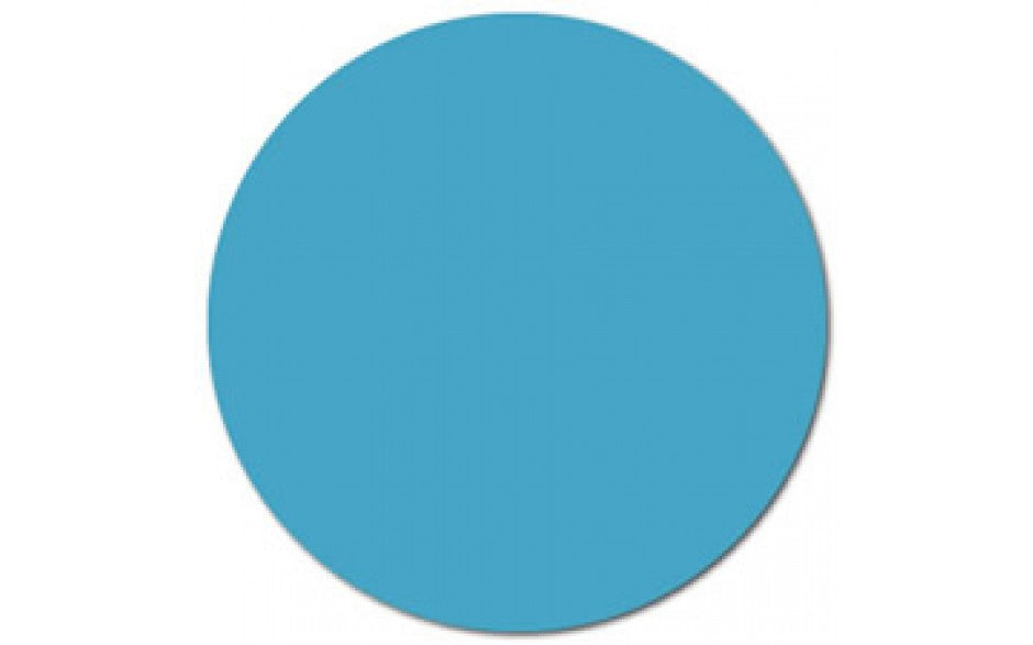 1000-Piece Roll of 3/4 Blue Circular Inventory Labels