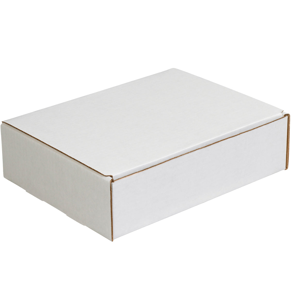 Bundle of 50 White 11 1/8 x 8 3/4 x 3 Literature Mailers